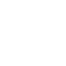 Lock Inspector Icon